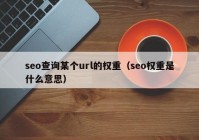 seo查询某个url的权重（seo权重是什么意思）