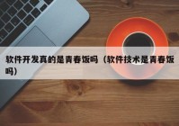 软件开发真的是青春饭吗（软件技术是青春饭吗）